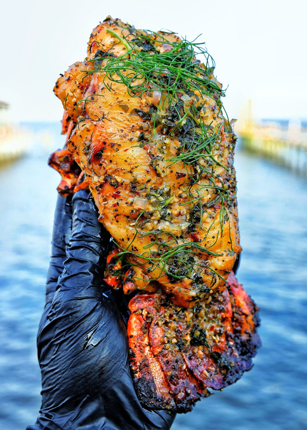 Discover the Secret to Smoky, Succulent Lobster Tails with Live Fire Republic's Wood Plank-Smoked Spiny Lobster Tails!