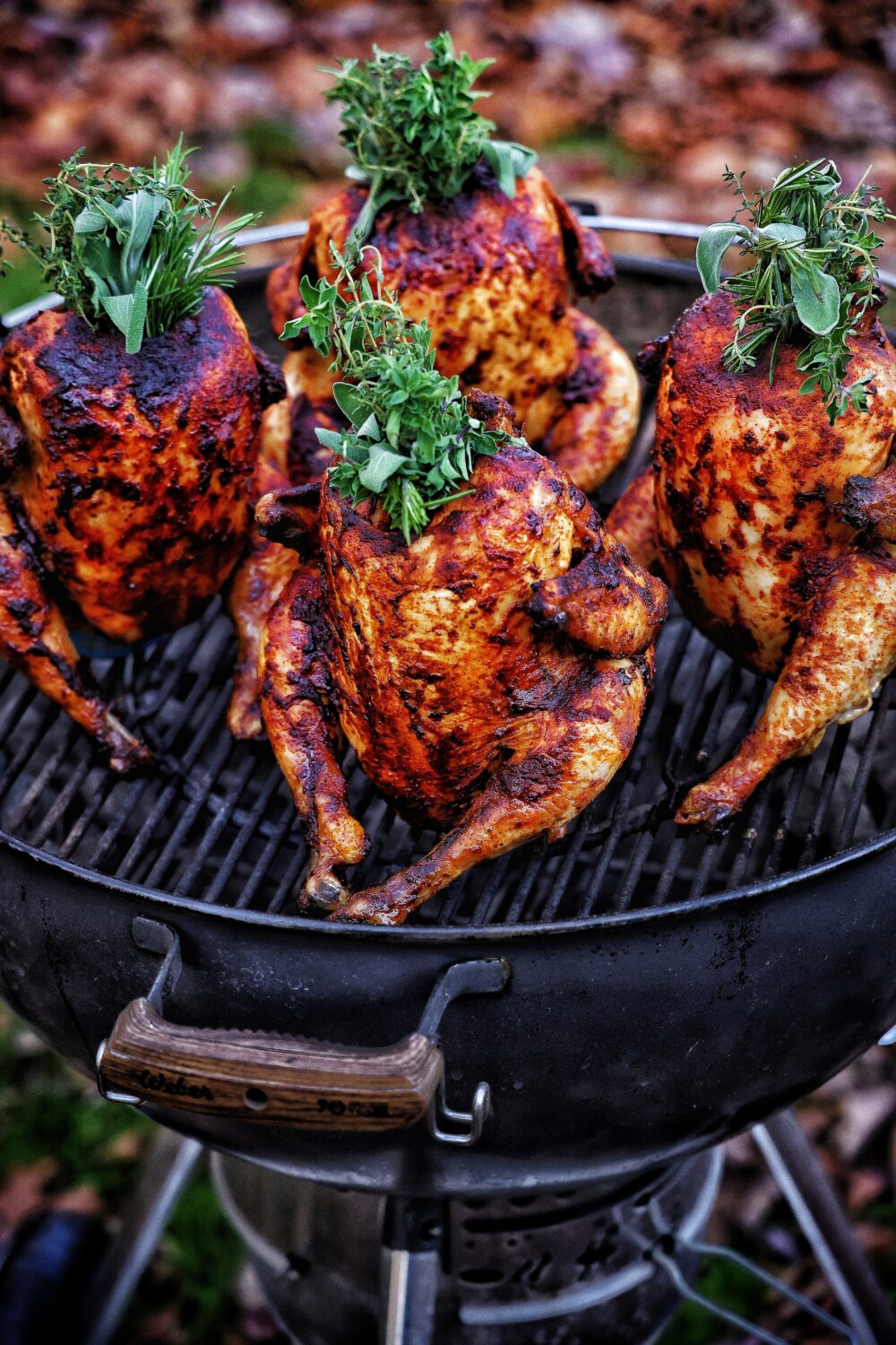 The perfect beer-brined beer can chicken over live fire